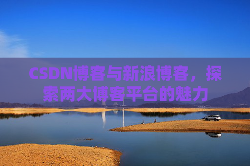 CSDN博客与新浪博客，探索两大博客平台的魅力